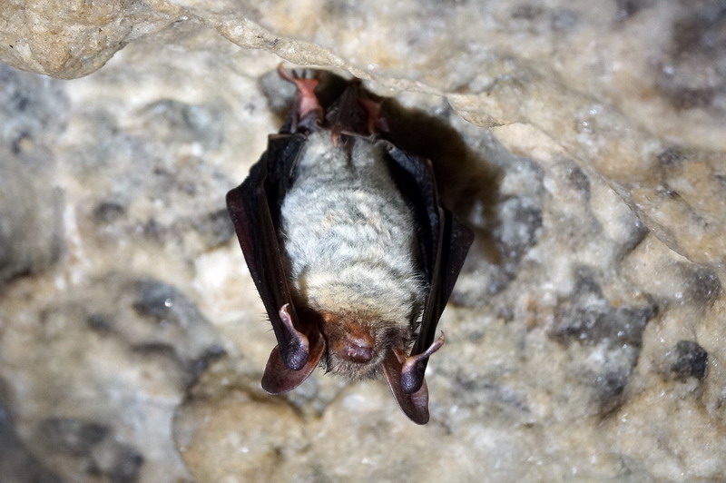 Автор: Виктория Галбур