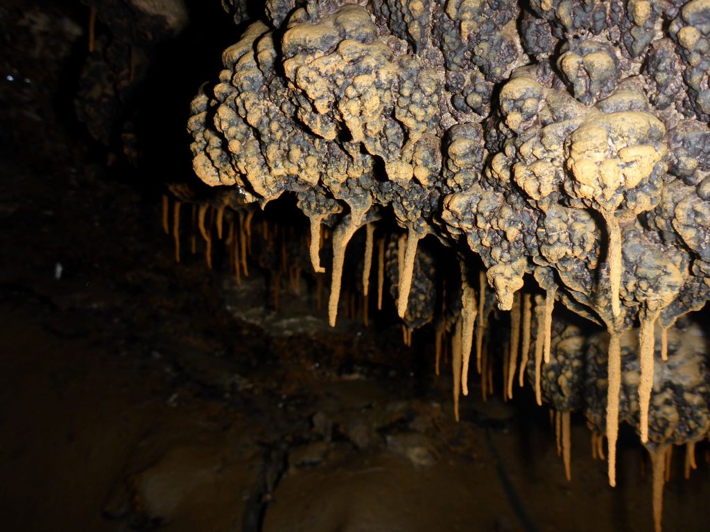 Автор: Виктория Галбур