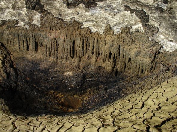 Автор: Игорь Телешман